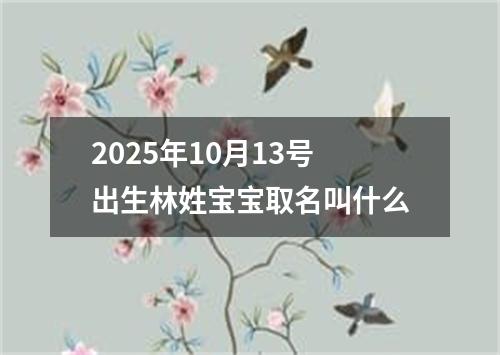 2025年10月13號出生林姓寶寶取名叫什么